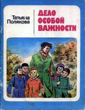 Татьяна Полякова Дело особой важности обложка книги