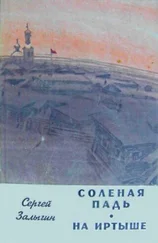 Сергей Залыгин - На Иртыше