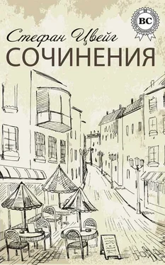 Стефан Цвейг Сочинения обложка книги