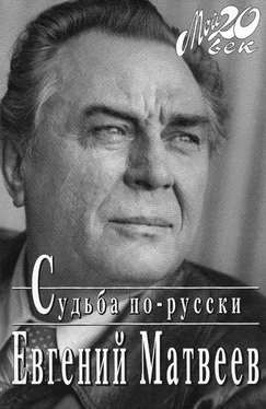 Евгений Матвеев Судьба по-русски обложка книги