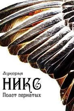 Лукерья Никс. Полет пернатых обложка книги