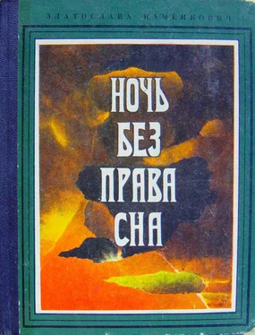 Златослава Каменкович Ночь без права сна обложка книги