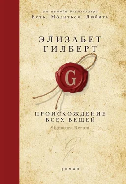 Элизабет Гилберт Происхождение всех вещей обложка книги