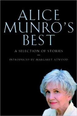 Alice Munro Alice Munro's Best обложка книги