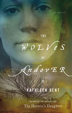 Kathleen Kent The Wolves of Andover обложка книги