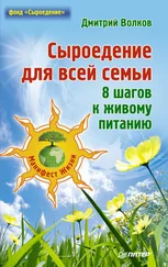 Дмитрий Волков - Сыроедение для всей семьи. 8 шагов к живому питанию