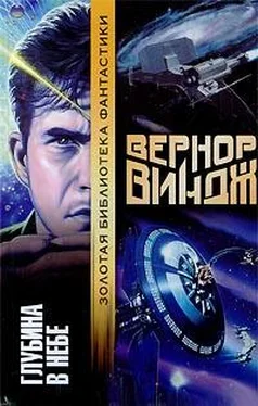 Вернор Виндж Глубина в небе обложка книги