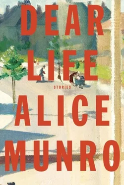 Alice Munro Dear Life обложка книги