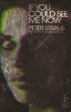 Peter Straub If You Could See Me Now обложка книги