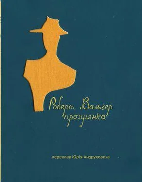 Роберт Вальзер Прогулянка обложка книги