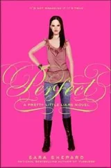 Сара Шепард - Безупречная