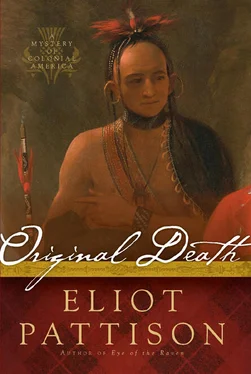 Eliot Pattison Original Death обложка книги