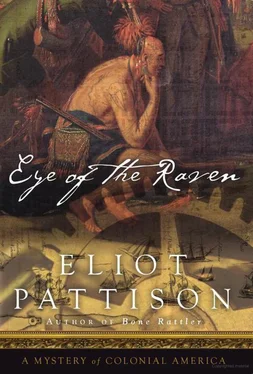 Eliot Pattison Eye of the Raven обложка книги