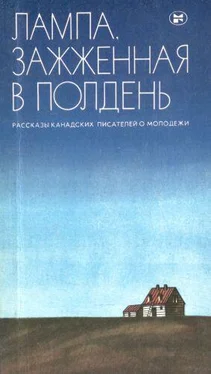 Элис Манро Лес обложка книги