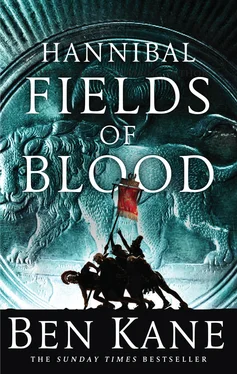 Ben Kane Fields of Blood обложка книги