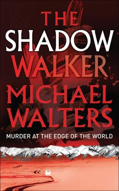 Michael Walters The Shadow Walker обложка книги