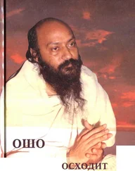 Radzhnish_Dzen_i_mastera_Dzen_Solntse_voshodit_vecherom._Lotos_osoznaniya.432109