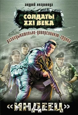 Андрей Негривода Разведывательно-диверсионная группа. «Индеец» обложка книги