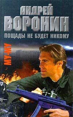 Андрей Воронин Пощады не будет никому обложка книги