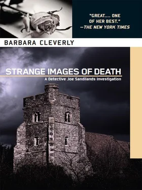 Barbara Cleverly Strange Images of Death обложка книги