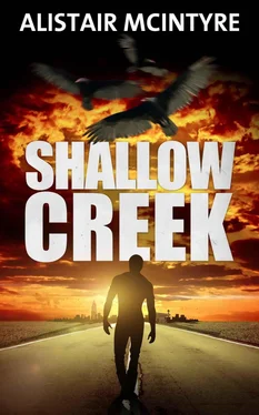 Alistair McIntyre Shallow Creek обложка книги