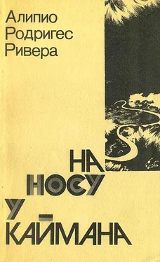 Алипио Ривера На носу у каймана. Воспоминания сельского врача обложка книги