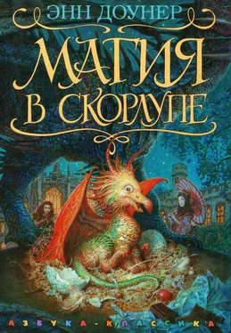Энн Доунер Магия в скорлупе обложка книги