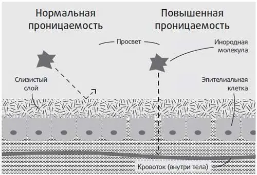 Почему это важно Некоторые чересчур оптимистичные люди возможно задаются - фото 5