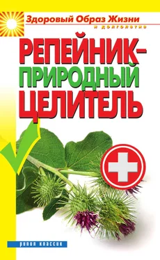 С. Филатова Репейник — природный целитель обложка книги