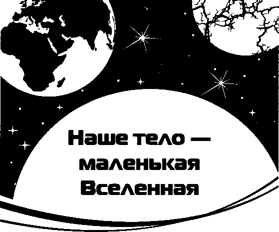 Веды как и другие Богом данные откровения утверждают что мы частицы Бога - фото 2