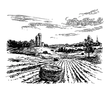 Ещё через неделю в дупле оказалась потускневшая медаль Джим отнёс её Аттикусу - фото 15