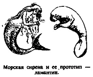 Если бы 22 декабря 1938 года капитан Гусен на обратном пути из района где он - фото 1