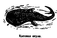 Так же в случае позвоночных Вряд ли нужно даже говорить о рыбах какой - фото 2