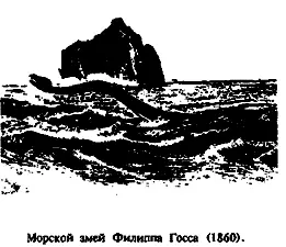 Но несколькими годами ранее в ноябре 1881 года подающий надежды зоолог явил - фото 24