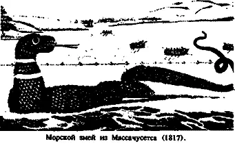 Кем могло быть животное задавал он вопрос описанное среди других - фото 26