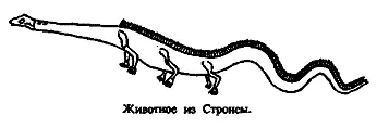 Вся история палеонтологии заполнена промахами подобного рода Сам великий Кювье - фото 28