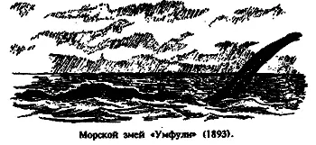5 ч 30 мин пополудни Замечено в 500 метрах от корабля морское животное в - фото 37