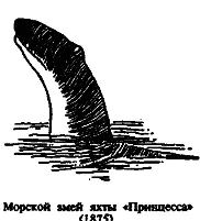 Следующий морской змей встреченный посреди экваториальной Атлантики пароходом - фото 45