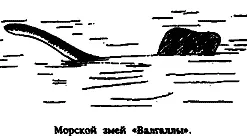 Это существо было по моему мнению представителем тех которых столь часто - фото 47