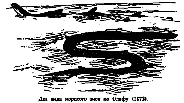 Как видим др Карлисль нападает на слабые места то той то другой гипотезы - фото 55