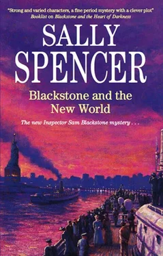 Sally Spencer Blackstone and the New World обложка книги