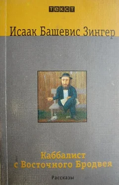 Исаак Зингер Каббалист с Восточного Бродвея обложка книги