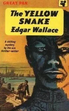Edgar Wallace The Yellow Snake обложка книги