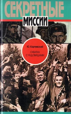 Юрий Карчевский Схватка с чудовищами обложка книги