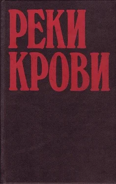 Серж Лафоре Соль в ране обложка книги