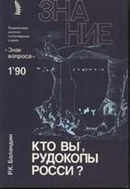 Знак вопроса Кто вы, рудокопы Росси? обложка книги