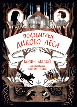 Колин Мэлой Подземелья Дикого леса обложка книги