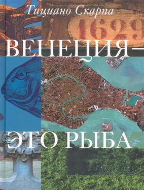 Тициано Скарпа Венеция - это рыба обложка книги