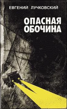 Евгений Лучковский Опасная обочина обложка книги