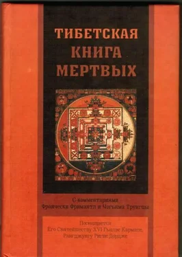 Франческа Фримантл Тибетская книга мертвых обложка книги